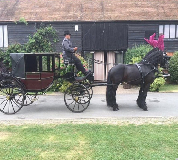 Horse and Carriage Hire in Bradford
